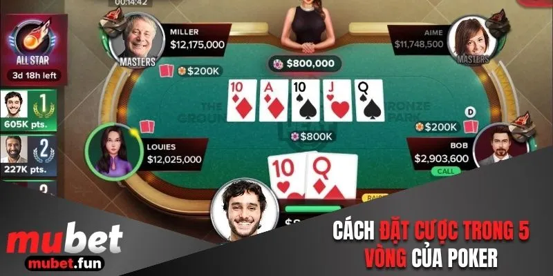 Cách chơi Poker dễ hiểu qua 5 vòng